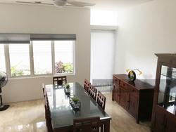 Shamrock Park (D10), Terrace #153498722